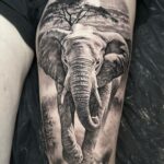 33 Elephant Tattoos: A Symbol of Family, Strength, and Prosperity